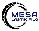 mesa lastik filo hizmetleri ltd.şti. Logo