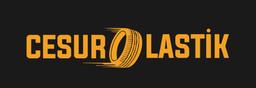 CESUR LASTİK LOJİSTİK OTOMOTİV SAN. VE TİC. LTD. ŞTİ. Logo